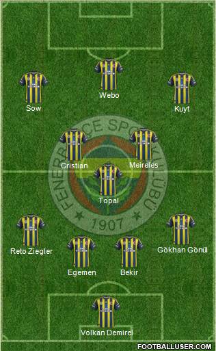 Fenerbahçe SK Formation 2013