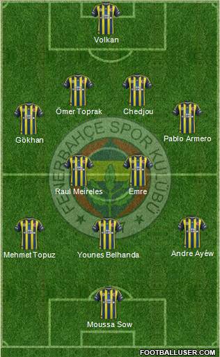 Fenerbahçe SK Formation 2013