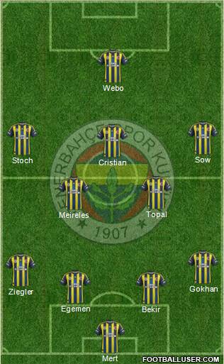 Fenerbahçe SK Formation 2013
