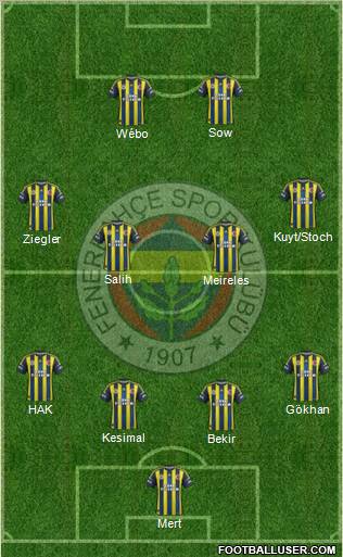 Fenerbahçe SK Formation 2013