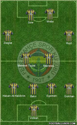 Fenerbahçe SK Formation 2013