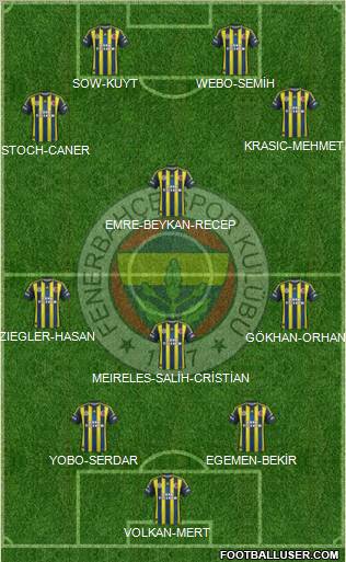 Fenerbahçe SK Formation 2013