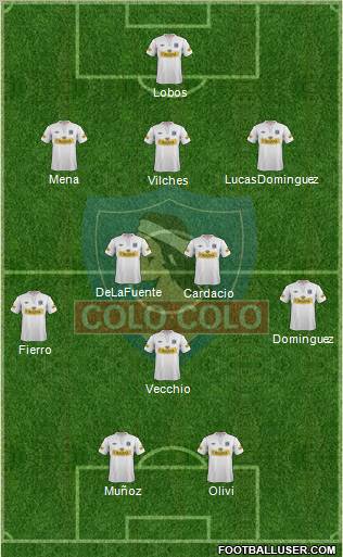 CSD Colo Colo Formation 2013