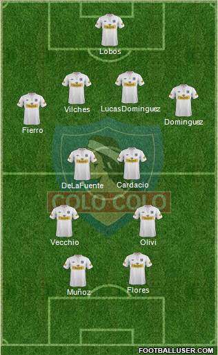 CSD Colo Colo Formation 2013