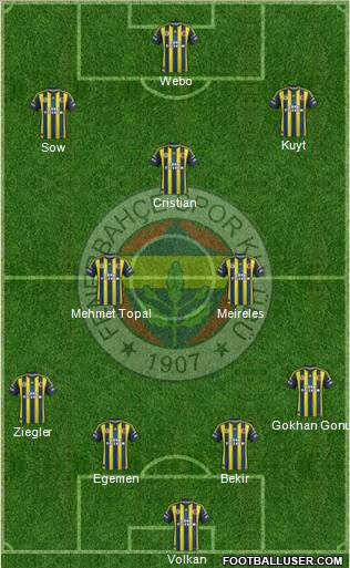 Fenerbahçe SK Formation 2013