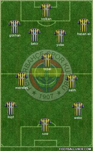 Fenerbahçe SK Formation 2013