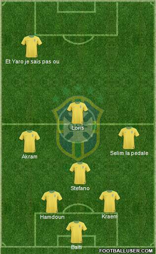 Brazil Formation 2013