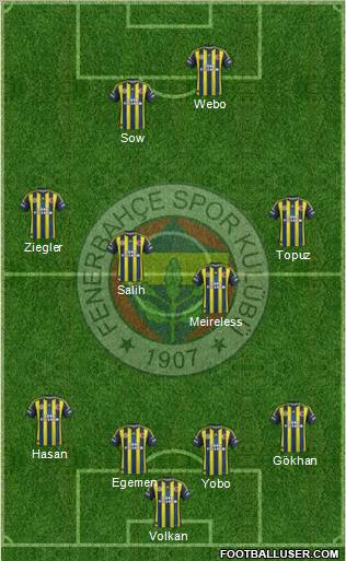 Fenerbahçe SK Formation 2013