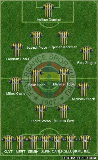 Fenerbahçe SK Formation 2013