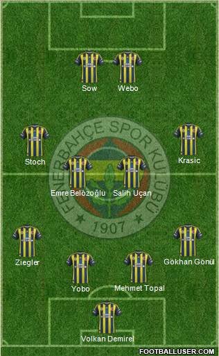 Fenerbahçe SK Formation 2013