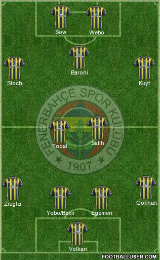 Fenerbahçe SK Formation 2013