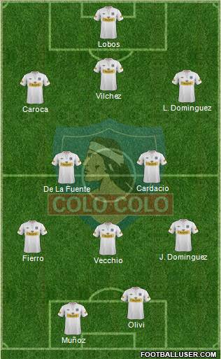 CSD Colo Colo Formation 2013