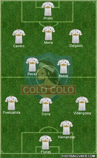 CSD Colo Colo Formation 2013