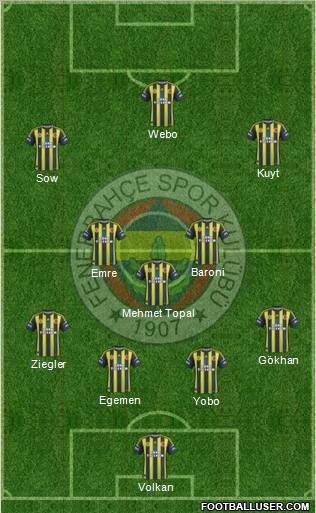 Fenerbahçe SK Formation 2013