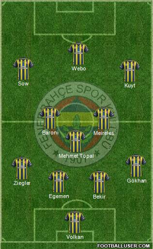 Fenerbahçe SK Formation 2013