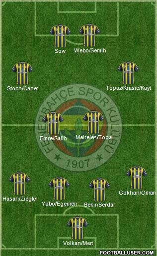 Fenerbahçe SK Formation 2013