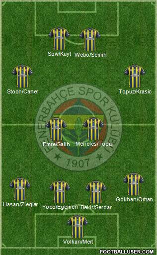 Fenerbahçe SK Formation 2013