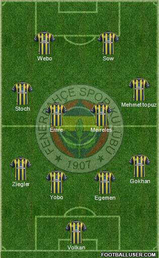 Fenerbahçe SK Formation 2013