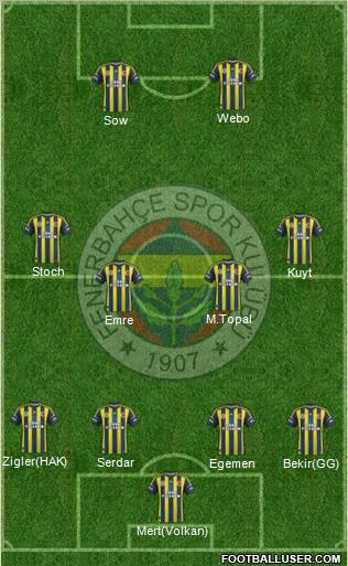 Fenerbahçe SK Formation 2013