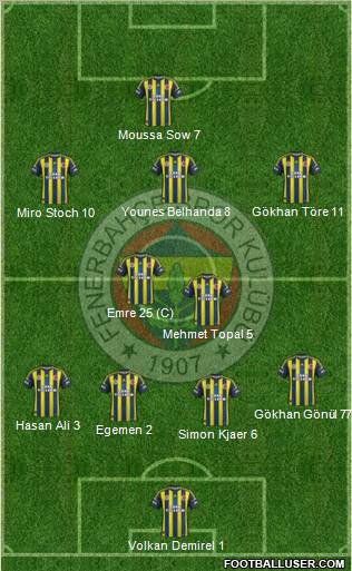 Fenerbahçe SK Formation 2013