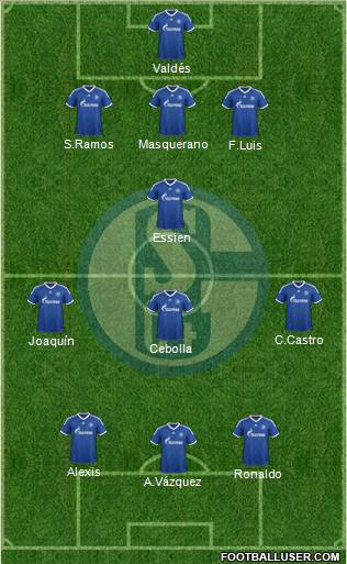 FC Schalke 04 Formation 2013