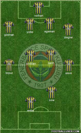 Fenerbahçe SK Formation 2013