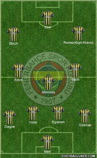 Fenerbahçe SK Formation 2013