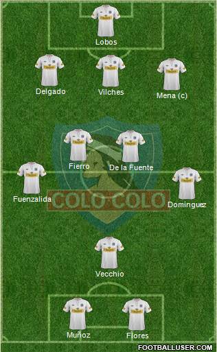 CSD Colo Colo Formation 2013