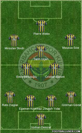 Fenerbahçe SK Formation 2013