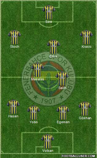 Fenerbahçe SK Formation 2013