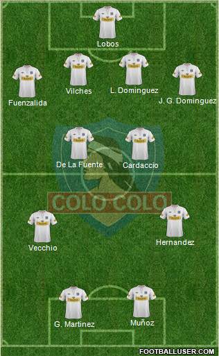 CSD Colo Colo Formation 2013