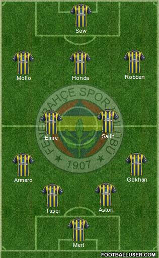 Fenerbahçe SK Formation 2013