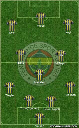 Fenerbahçe SK Formation 2013