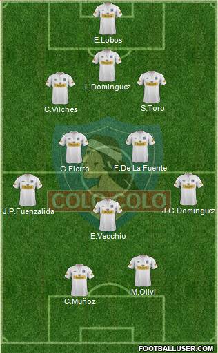 CSD Colo Colo Formation 2013