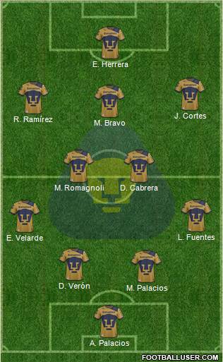 Club de Fútbol Universidad Formation 2013