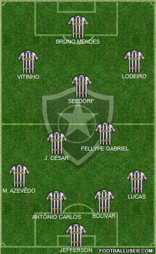 Botafogo FR Formation 2013