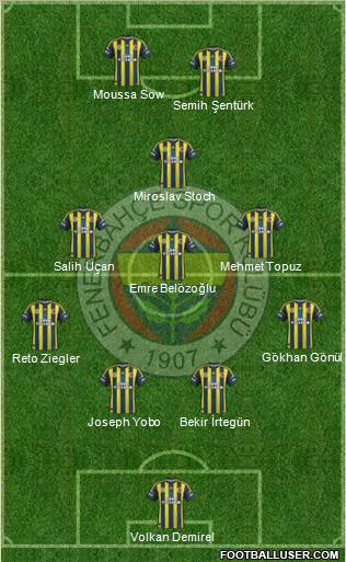 Fenerbahçe SK Formation 2013