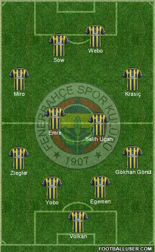 Fenerbahçe SK Formation 2013