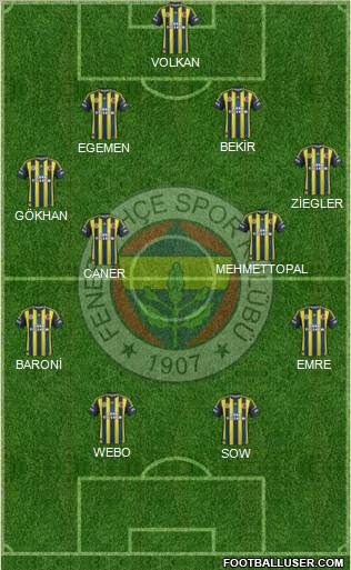 Fenerbahçe SK Formation 2013