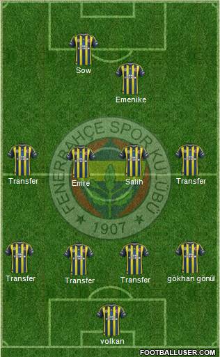 Fenerbahçe SK Formation 2013