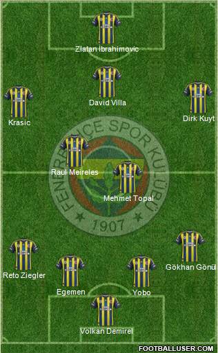 Fenerbahçe SK Formation 2013