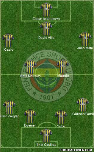Fenerbahçe SK Formation 2013