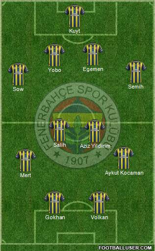 Fenerbahçe SK Formation 2013
