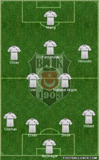 Besiktas JK Formation 2013