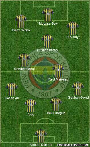 Fenerbahçe SK Formation 2013