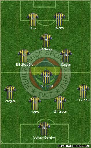 Fenerbahçe SK Formation 2013