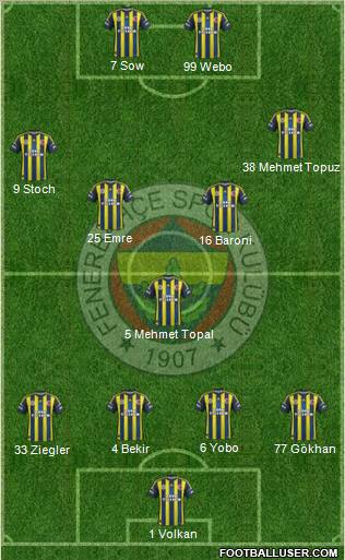 Fenerbahçe SK Formation 2013