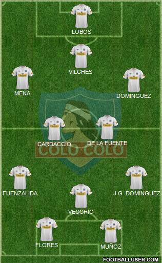 CSD Colo Colo Formation 2013
