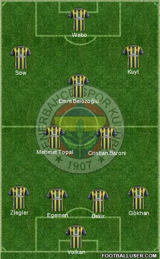 Fenerbahçe SK Formation 2013