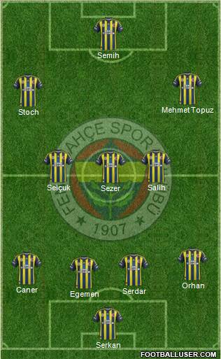 Fenerbahçe SK Formation 2013
